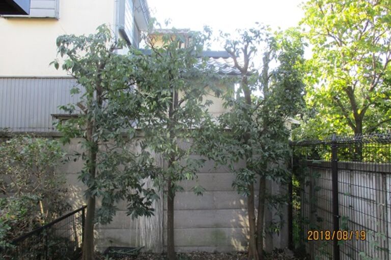 image3