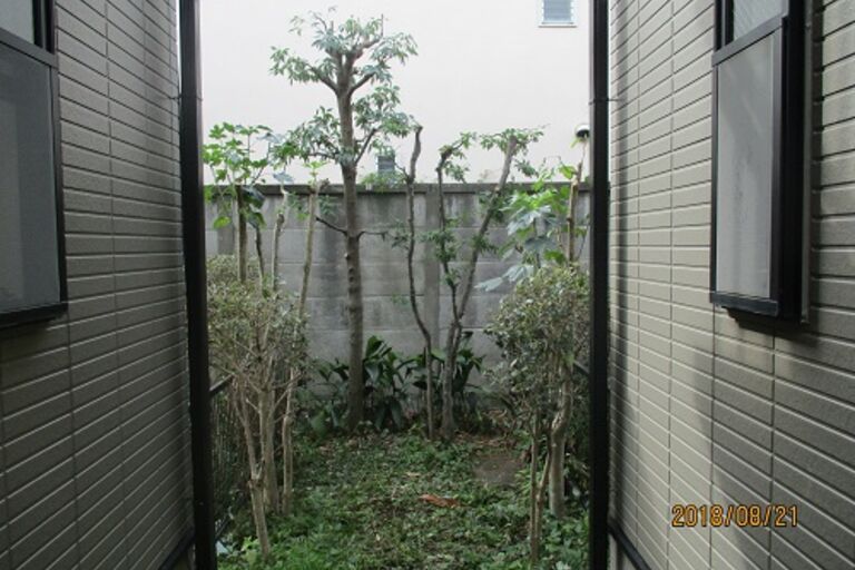 image5