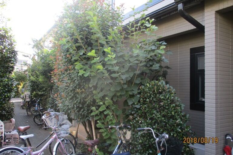 image6