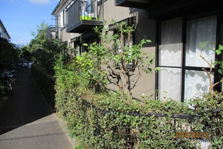 image11