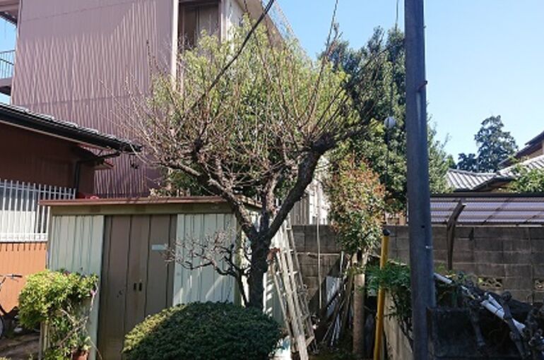 造園