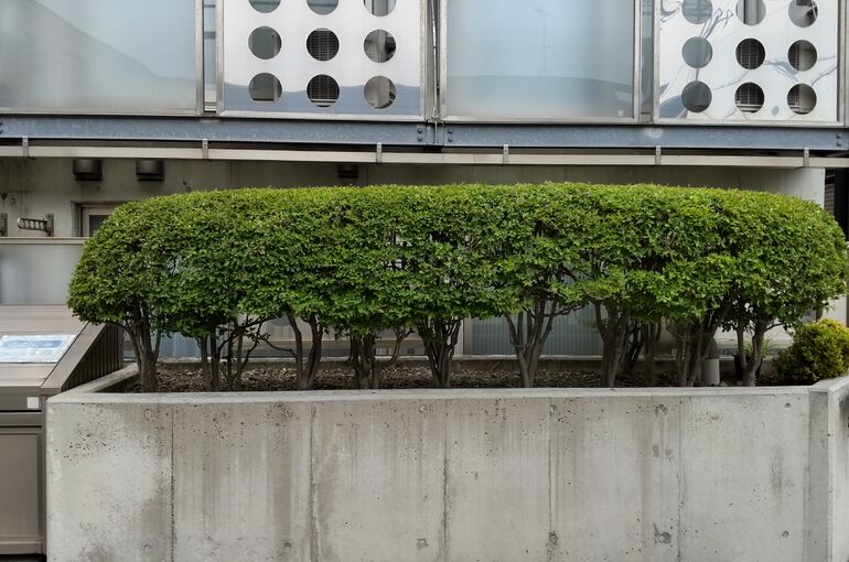 DSC_0006